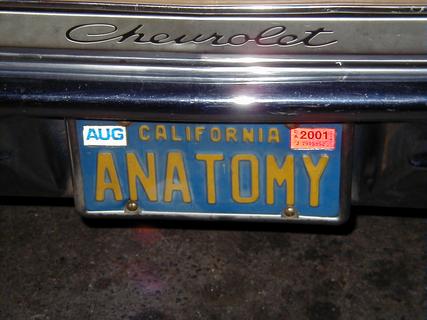 ANATOMY number plate I saw on a car in San Francisco<br>Location: Near Hire Car location